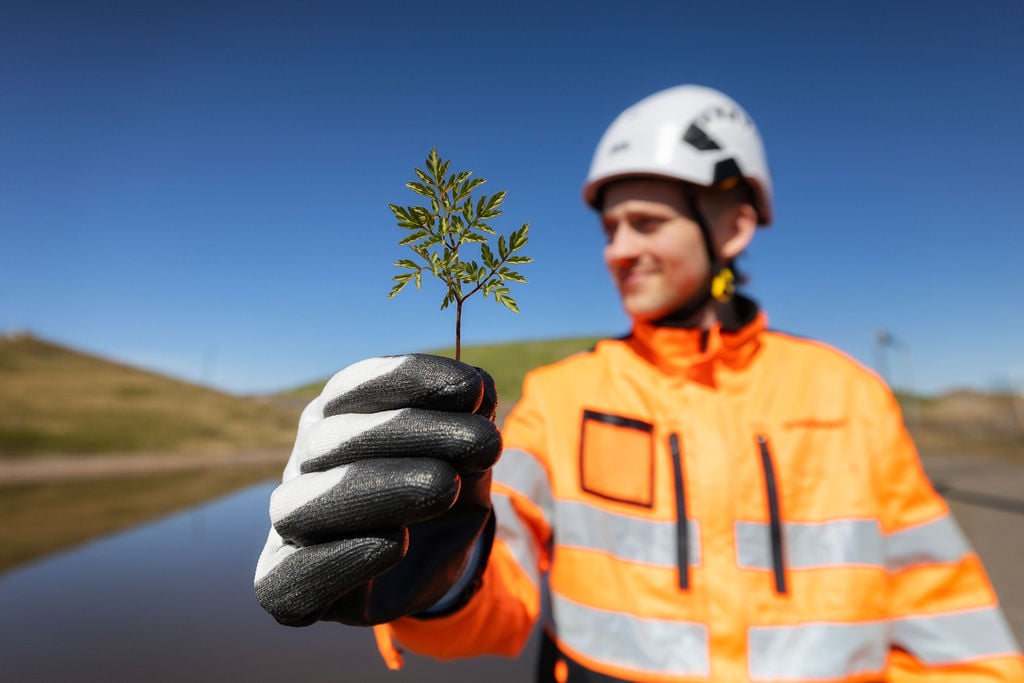 Lähikuva vihreästä rikkaruohosta nuoren miehen kädessä, mies näkyy taustalla sumeana, samoin kuin sininen taivas ja vihertävät mäet. miehellä on päällä työvaatetus ja päässä suojakypärä.